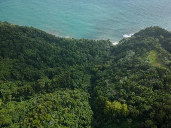 Terrenos
