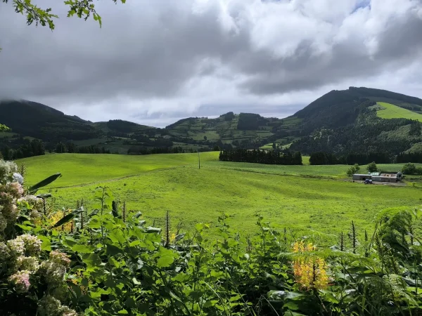 Terrenos