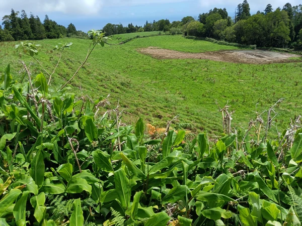 Terrenos